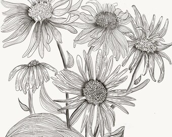 Black & White Floral, Flower Prints, Original Design, Wall Art, Daisies, Floral, Wall Decor