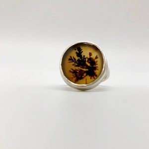 Handmade silver dendritic agate ring size 5.5-6
