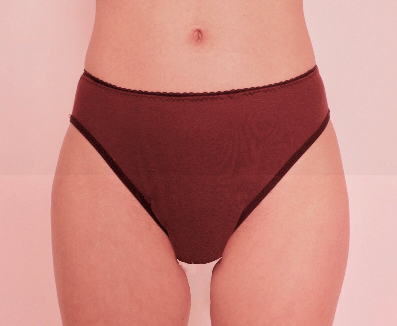 Plums Purple Period Panties High Cut High Waist Underwear Etsy