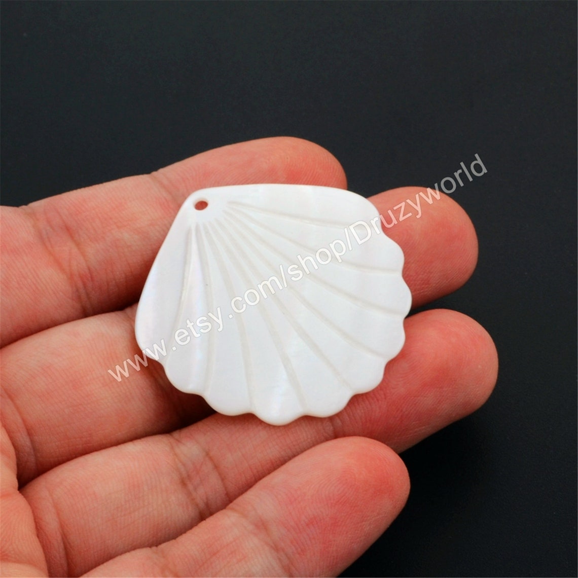 10 pcs Scallop Fan Shape Natural White Shell Pendant Fan Etsy