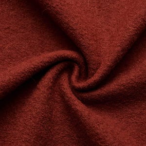 Peut inclure: Gros plan sur un tissu texturé de couleur rouille, d'aspect doux et légèrement flou. Le tissu est drapé, créant des plis et des ombres qui mettent en valeur sa texture. Le matériau semble être un tissage épais, peut-être de la laine ou un mélange de laine.