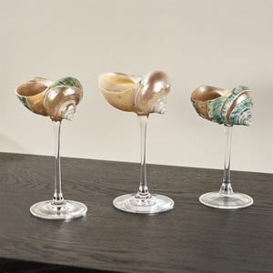 Customized Conch Glass Cup, Beach Wedding Decoration, Handmade Seashell Martini Glasses, Bridesmaid Gift, Party Goblets, Anniversary Gift