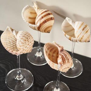 Natural Seashell Martini Glasses, Goblet Cocktail Glasses Cup, Wedding Gift,Anniversary Gift,Handmade Conch Glasses,Wedding Bridesmaids Gift