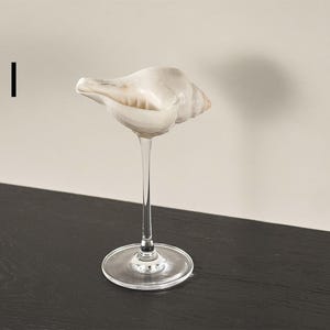Op de afbeelding: Een heldere glazen vaas met een lange steel en een brede basis. De vaas is versierd met een witte schelp.