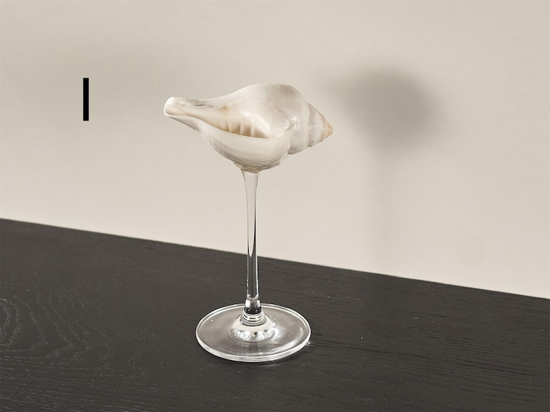 Op de afbeelding: Een heldere glazen vaas met een lange steel en een brede basis. De vaas is versierd met een witte schelp.