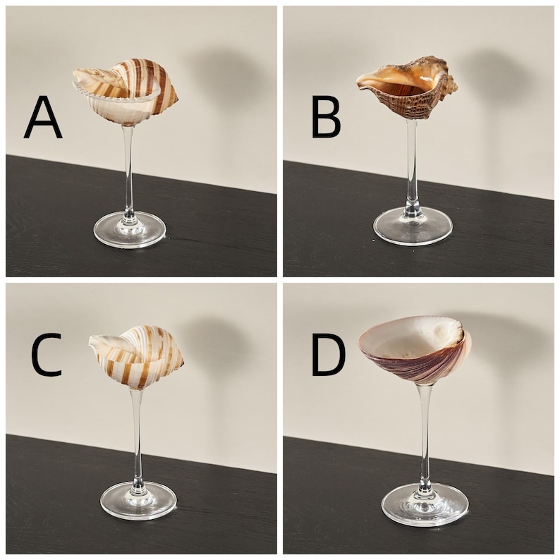 Op de afbeelding: Vier heldere glazen martini glazen met verschillende schelpen erin. De schelpen zijn bruin, wit en gestreept.