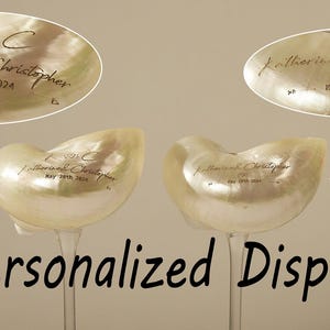 Natuurlijke schelp wijnglas, strand bruiloft bruidsmeisje geschenken, handgemaakte martiniglazen, beker cocktailglas beker, martiniglazen, cadeau afbeelding 10