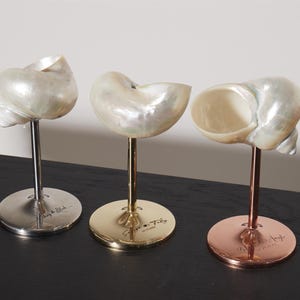 Customize Conch Stainless Steel Wine Cup,Natural Conch Glass, Handmade Seashell Martini Glasses,Wedding Bridal Bridesmaid Gift,Party Goblets