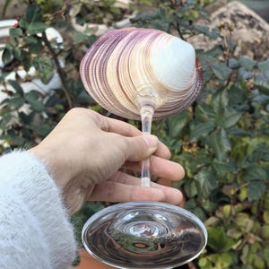 Op de afbeelding: Een wijnglas gemaakt van een grote schelp met een heldere glazen voet. De schelp is lichtroze en wit met een gelaagd patroon.