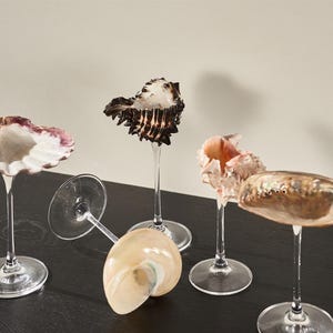 Customized Seashell Wine Glasses, Conch Glasses,Customized Beautiful Cocktail Glasses,Decorative Beach Wedding,Bridesmaid Gift,Party Goblets