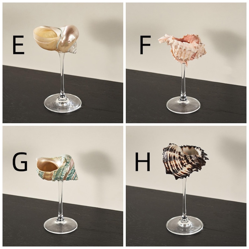 Op de afbeelding: Vier verschillende schelpen gepresenteerd op heldere glasstelen. De schelpen zijn lichtbruin, roze, groen en zwart.