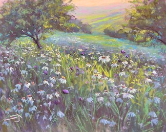 Pastel Painting / Meadow of Daisies / 14" x 11"/ Susan Jenkins