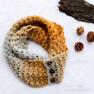 Candied Gigner Infinity Scarf Crochet Pattern PDF Printable Modern Button Accent Ombre Scarfie