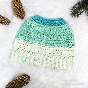 Snow Drops Messy Bun Hat Crochet Pattern PDF Printable Download Caron Cakes Yarn Pattern