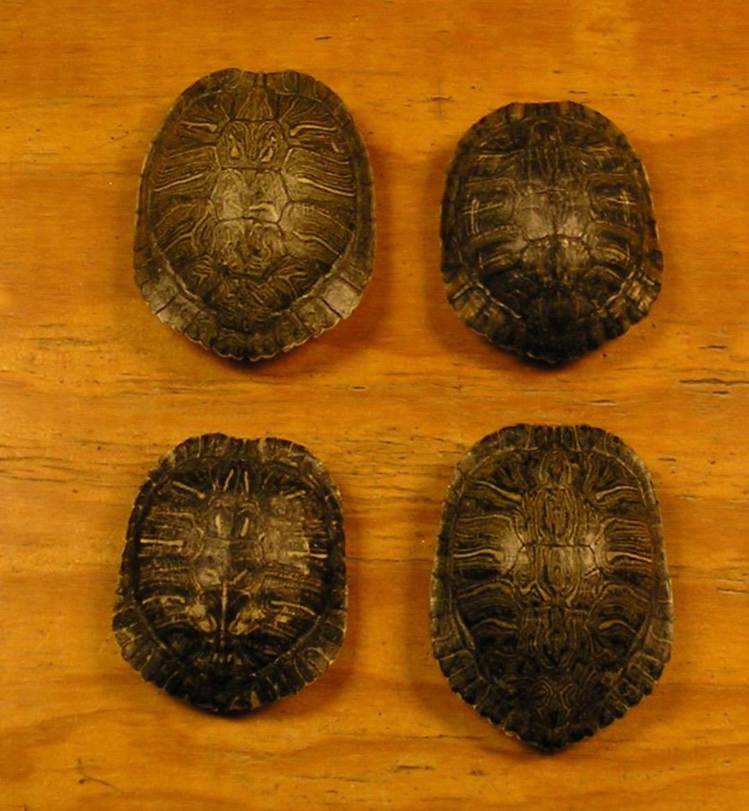 4 - 5