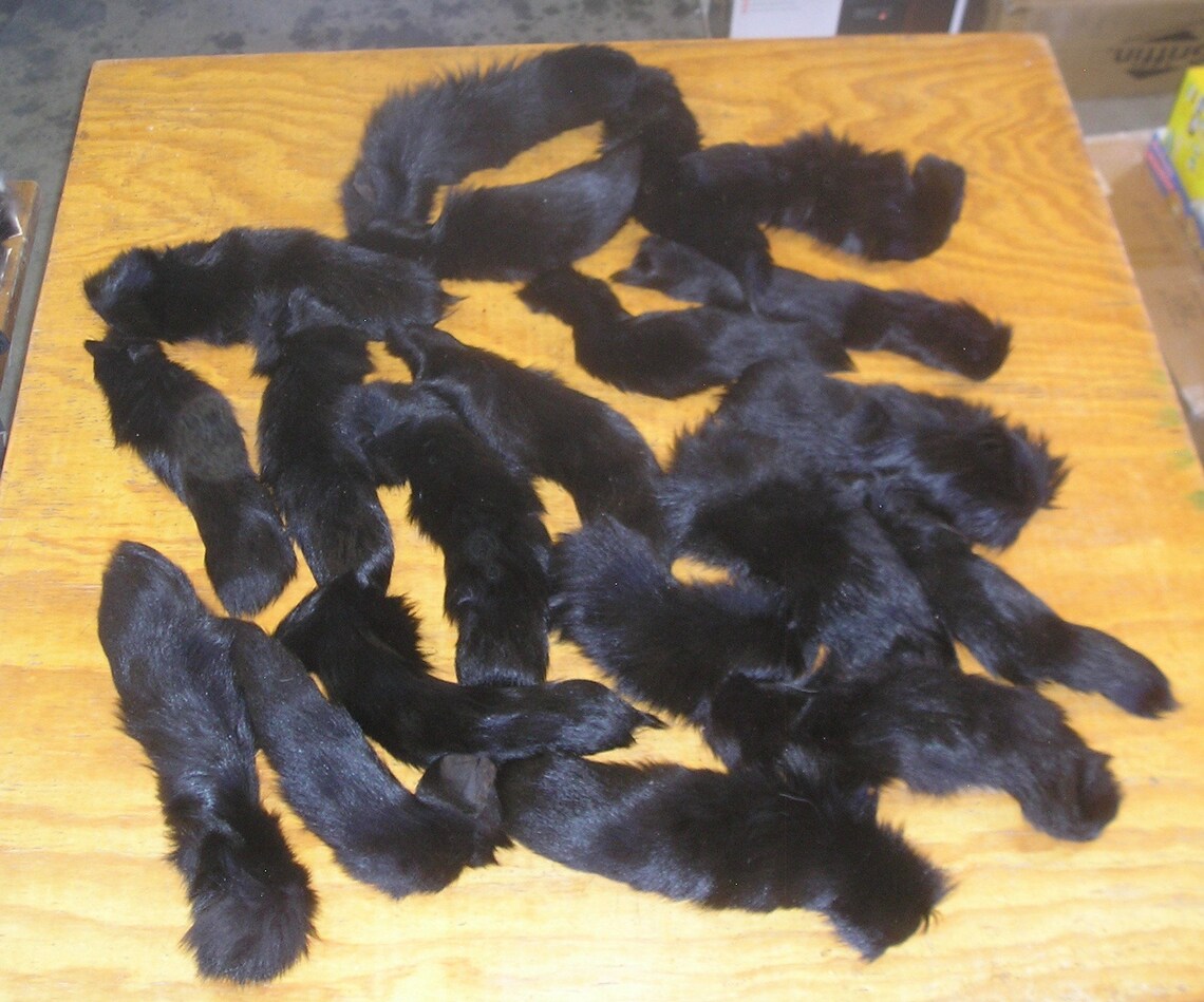20 Black Fox Tails Etsy