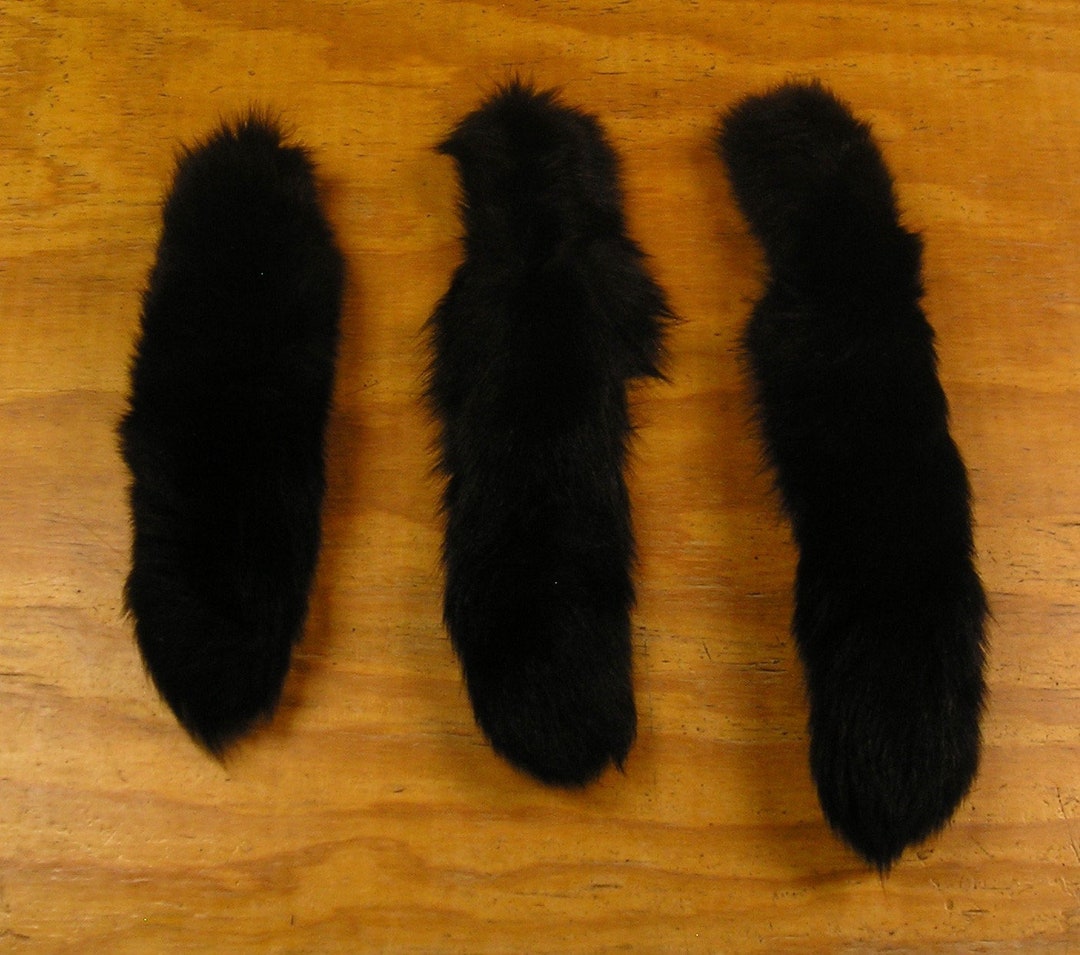 3 Black Fox Tails for Native American Ceremonies Etsy