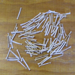 May include: A collection of numerous small, light-colored, cylindrical bones scattered across the frame. Each individual bone features a slightly thicker, rounded end and a slender shaft, appearing as natural, cleaned skeletal remains of a small animal.