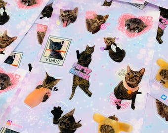 Page d'autocollants Dastardly Brown Tabby