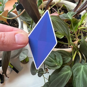 May include: A blue diamond-shaped sticker with a white border. The sticker is on a green plant.