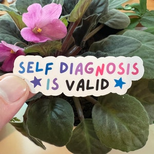 Self Diagnosis Is Valid Colorful Die Cut Matte Sticker | Autistic Late Diagnosed Disability ADHD Audhd Accessibility Mental Health Inclusive