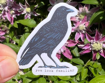You Look Familiar Crow Matte Die Cut Sticker | Corvid Crows Raven Witch Gothic Birds Birding Bird Watching Pagan Witches Ornithology