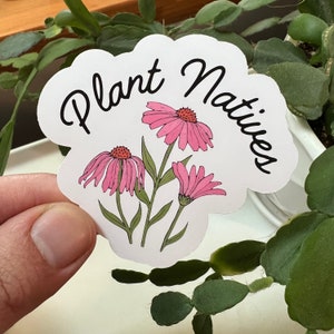 May include: White sticker with the text "Plant Natives" in black cursive lettering. Three pink coneflowers are illustrated on the sticker.