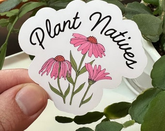 Plant Natives Matte Sticker Echinacea Coneflower Flowers Gardening