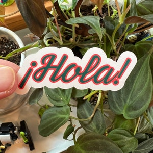 Hola Spanish Die Cut Matte Sticker | Typography Spain Mexico Hello Laptop Kindle Sticker Languages Word Art Mexican Spanish American