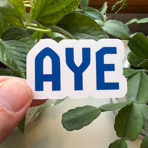 May include: A white sticker with the word "AYE" in bold, blue letters.