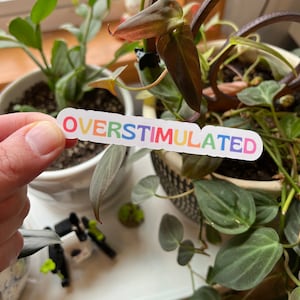 Overstimulated Pastel Rainbow Typography Die Cut Matte Sticker | Autism Autistic Neurodivergent ADHD Disability Acceptance Pride Spoonie