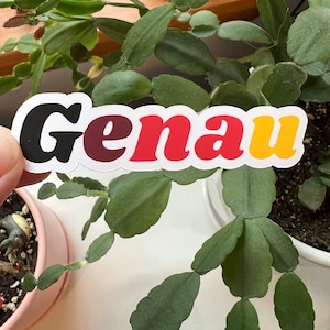 Genau German Die Cut Typography Sticker | Matte Vinyl Exactly German Flag Germany Sticker | German Words Language German American