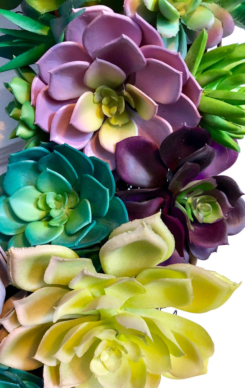 Front Door Wreath Mantle Wreath Patio Wreath Diameter of Wreath is 20 Artificial Succulent Wreath on 18 Natural Grapevine Base