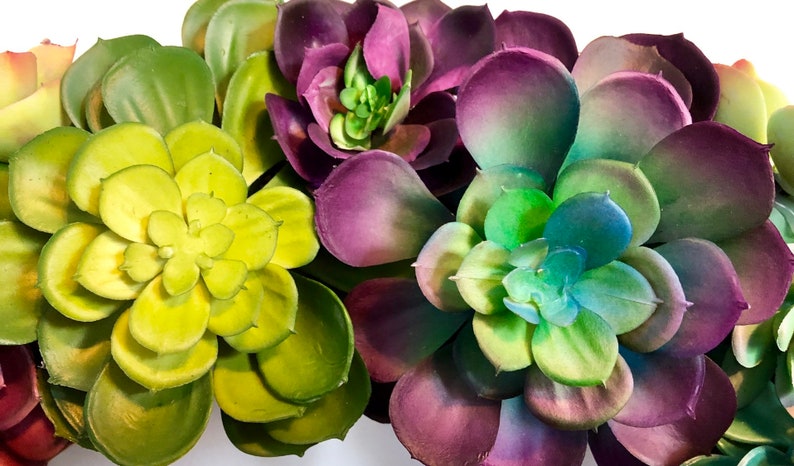 Front Door Wreath Mantle Wreath Patio Wreath Diameter of Wreath is 20 Artificial Succulent Wreath on 18 Natural Grapevine Base
