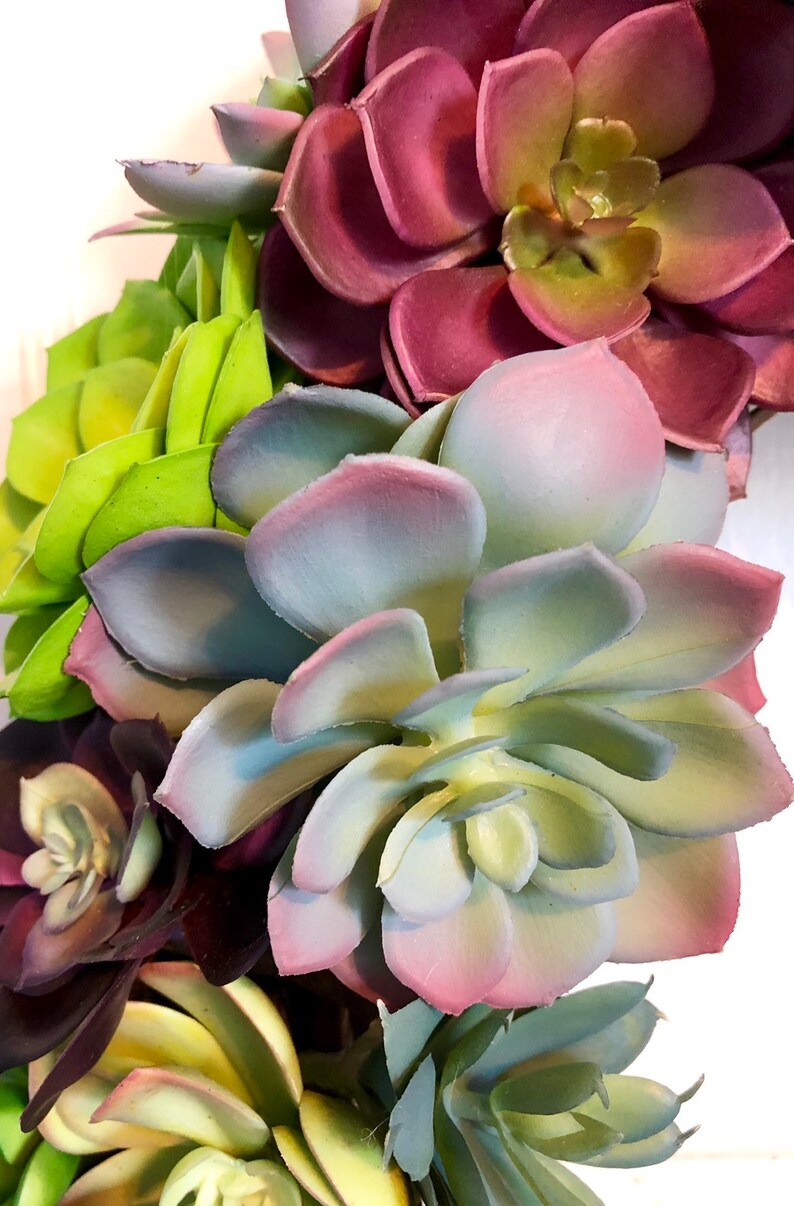 Front Door Wreath Mantle Wreath Patio Wreath Diameter of Wreath is 20 Artificial Succulent Wreath on 18 Natural Grapevine Base