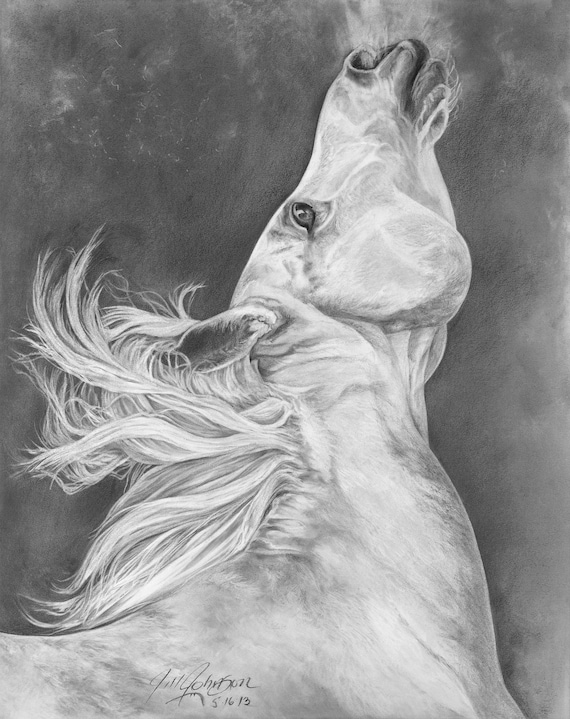 INDOMITABLE- Giclees and Fine Art Prints