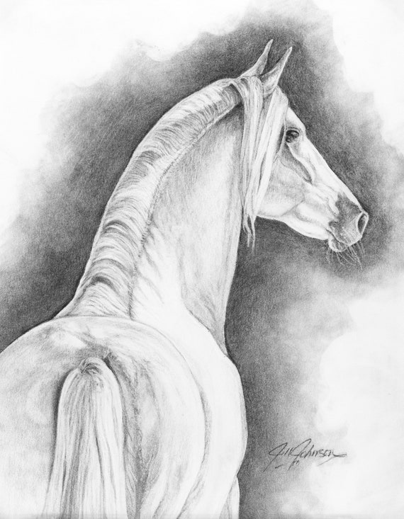 CONNEMARA PONY  -  Fine Art Original -  Charcoal Drawing - Custom mat and frame - 16 x 20