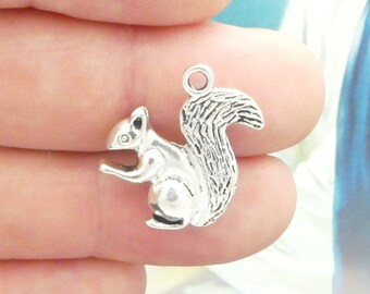 5 Squirrel Charm Silver by TIJC SP2029