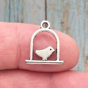 12 Silver Bird Cage Charm by TIJC SP0681