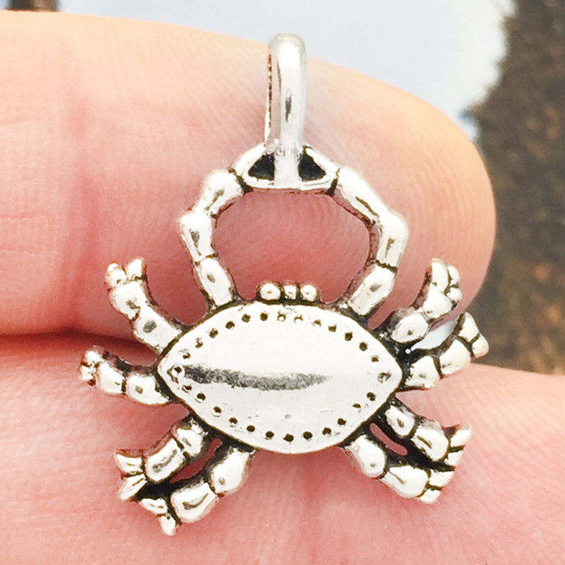 5 Silver Crab Charm Pendant by TIJC SP0243 image 4