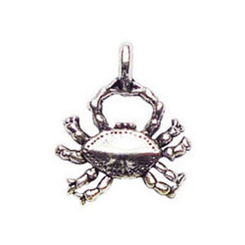 5 Silver Crab Charm Pendant by TIJC SP0243 image 6