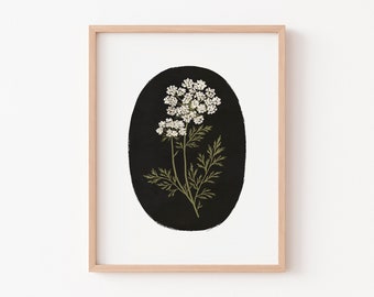 Queen Anne's Lace - Art Print - Wall Art - Poster - Papier Fleuri Co