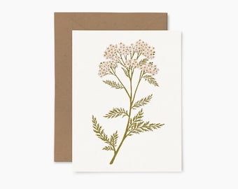 Yarrow - Greeting card - Illustrated card - Papier Fleuri Co.