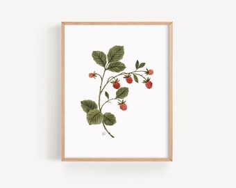 Raspberry | Watercolors Art | Giclée | 8x10 & 11x14 | Joannie Houle Art