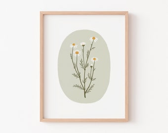 Chamomile - Art Print - Wall Art - Poster - Papier Fleuri Co