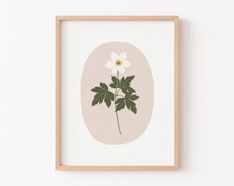 Wood Anemone - Art Print - Wall Art - Poster - Papier Fleuri Co