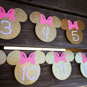 Minnie Mouse Monthly Banner, Minnie Mouse 1st Birthday, Minnie Mouse Decorations, First Birthday Decorations, Minnie Mouse, Pink and Gold