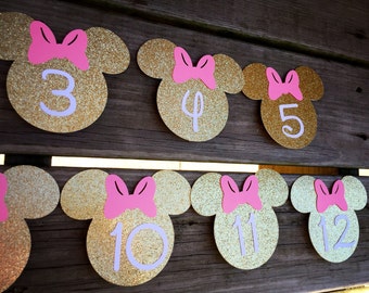 Minnie Mouse Monthly Banner, Minnie Mouse 1st Birthday, Minnie Mouse Decorations, First Birthday Decorations, Minnie Mouse, Pink and Gold