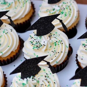 Graduation cupcake toppers, Graduation Party, Party Decor, Graduation Decorations, Graduation, Class of 2025 , Set of 12, 2025