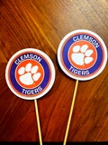Graduation Centerpiece Sticks 2024, Graduation Party, Party Decor, Graduation Decorations, Graduation, Class of 2024 , College Sticks